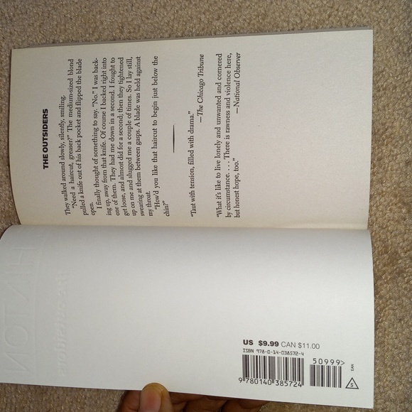 The Outsiders (Author: S.E. Hinton) - Picture 6 of 8